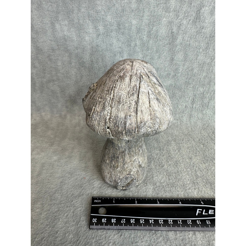 Concrete Driftwood-Like Mushroom Statue 6.5" Grey Brown Rustic Decor Heavy Fairy - Picture 4 of 7